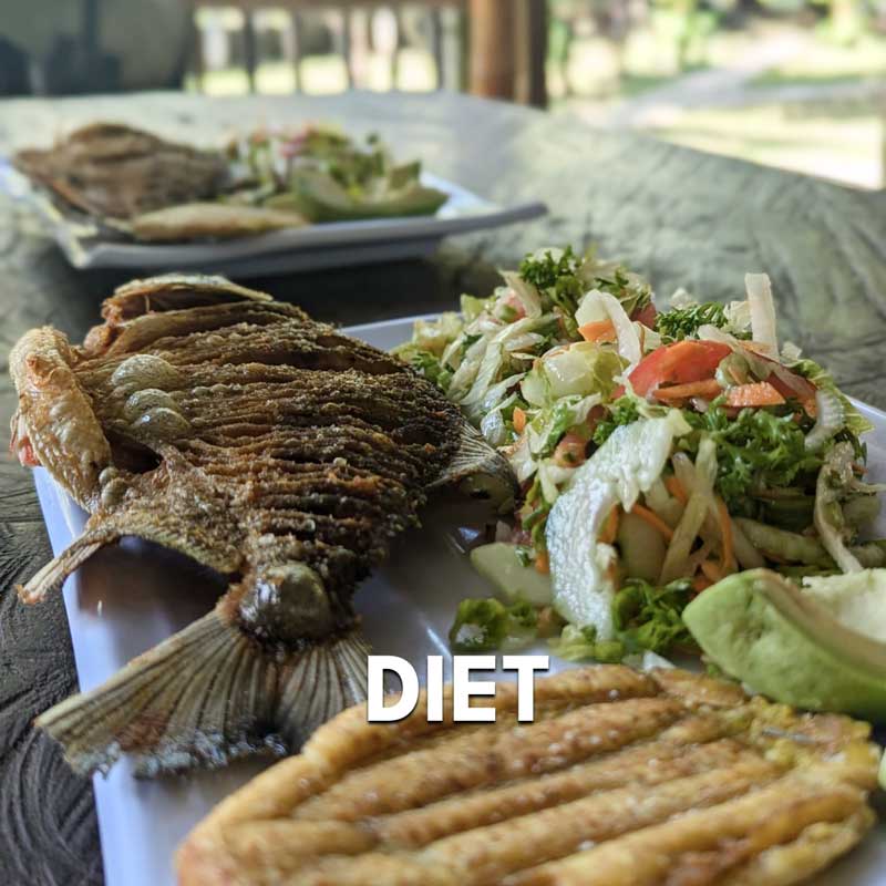 Keto