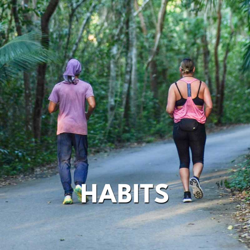Jungle trekking and nature immersion at INMERSION retreat
